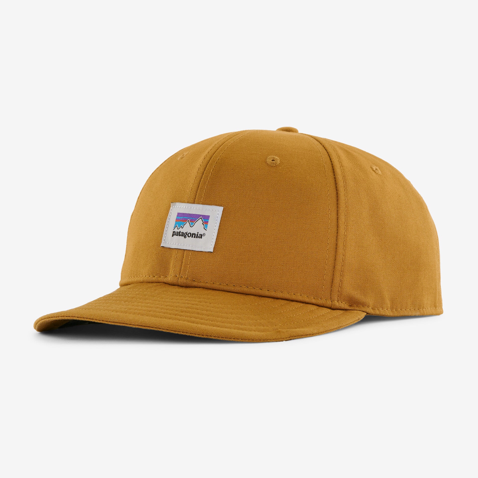 Patagonia Scrap Everyday Cap