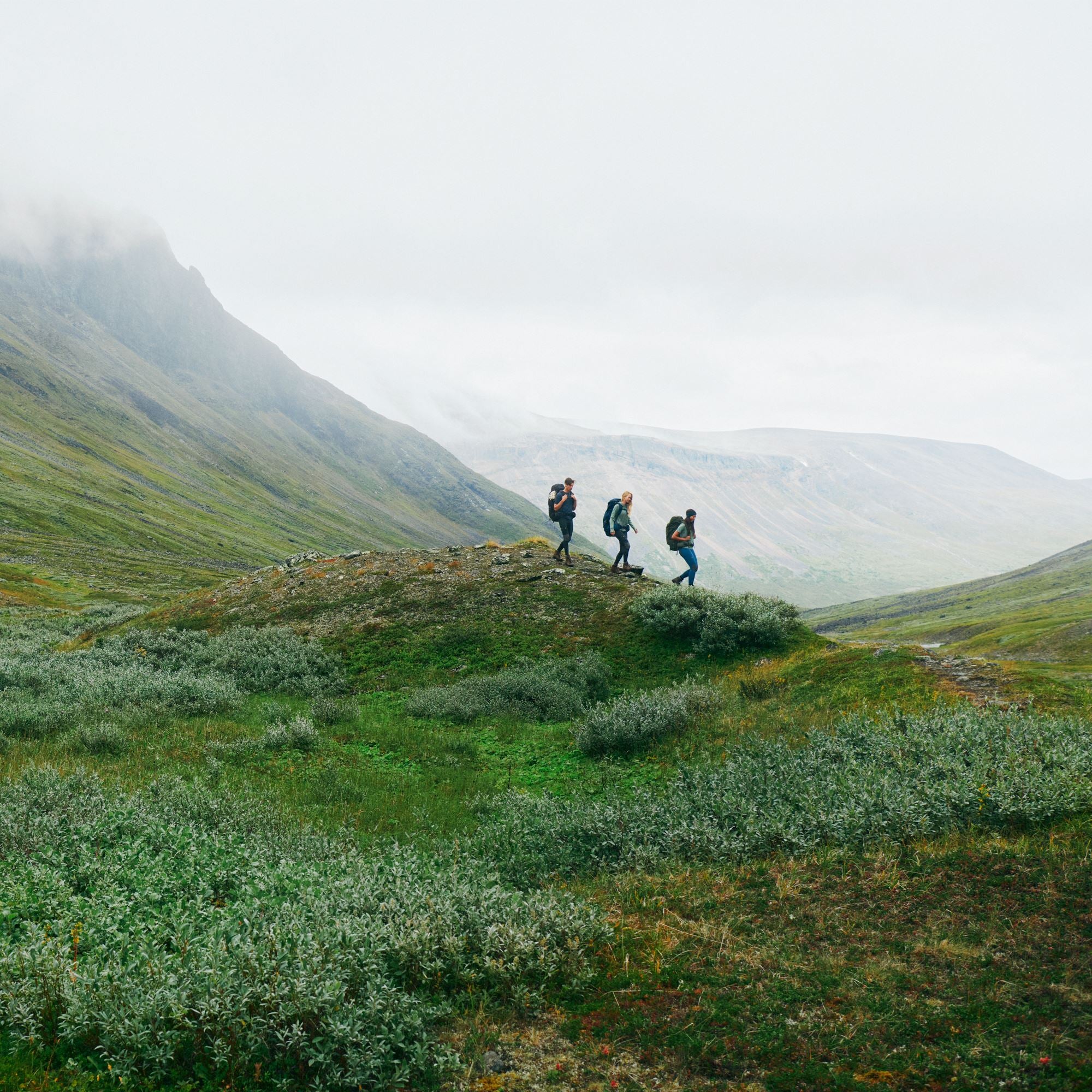 Abisko Ullarbolur W - 50%